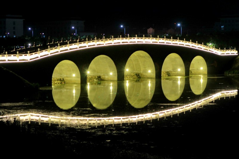 湿地夜景