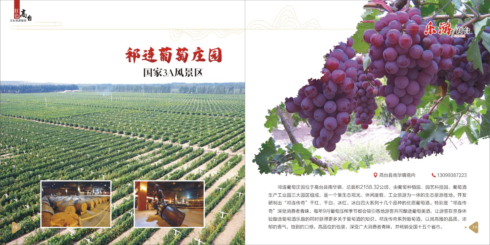 高台文旅(9)