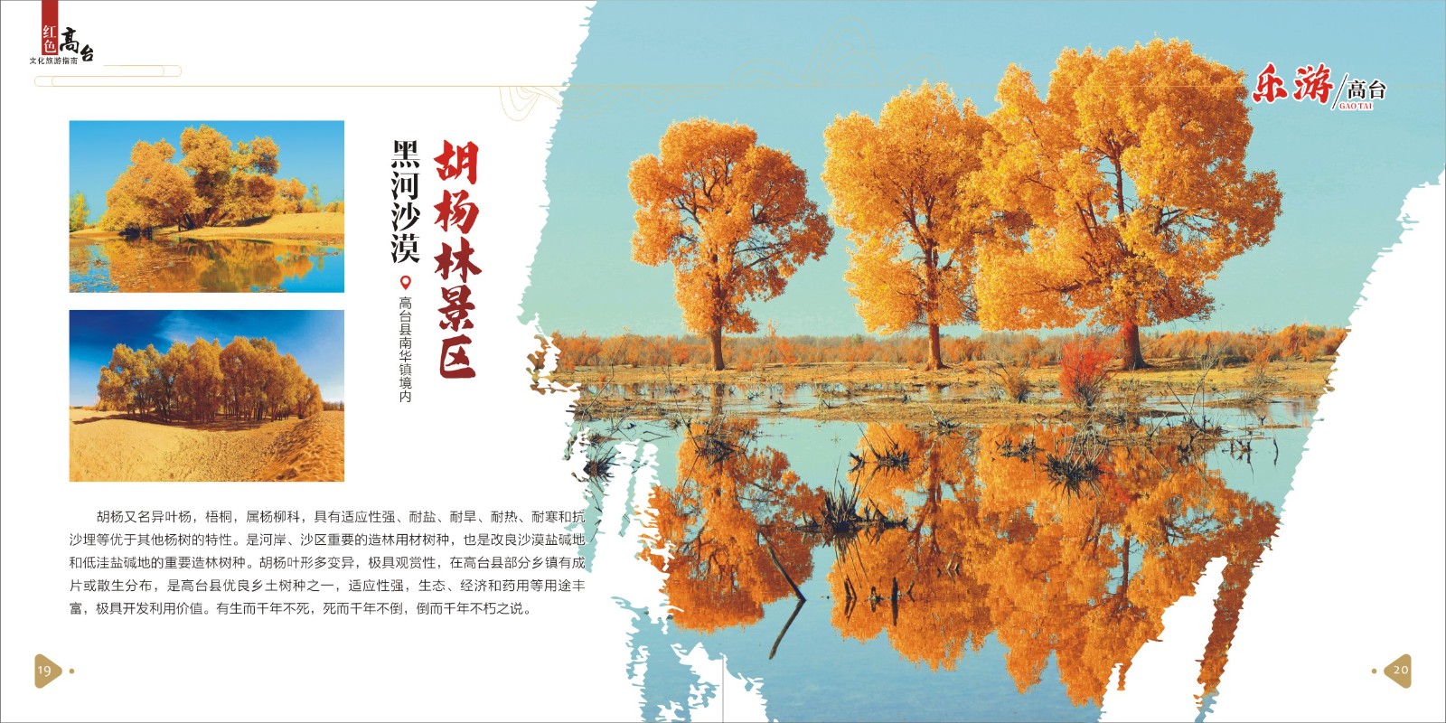 高台文旅(12)