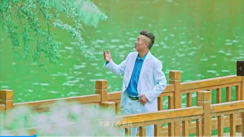 《家乡的沙枣花》